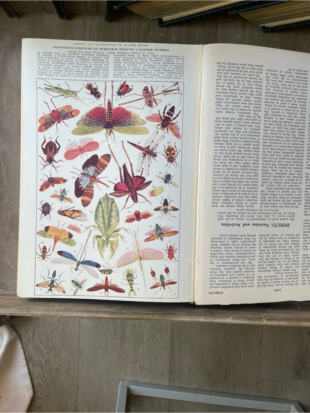 Classic Black Decorative Book Set - Doubleday's Encyclopedia ( all 10) - Picture 12 of 15
